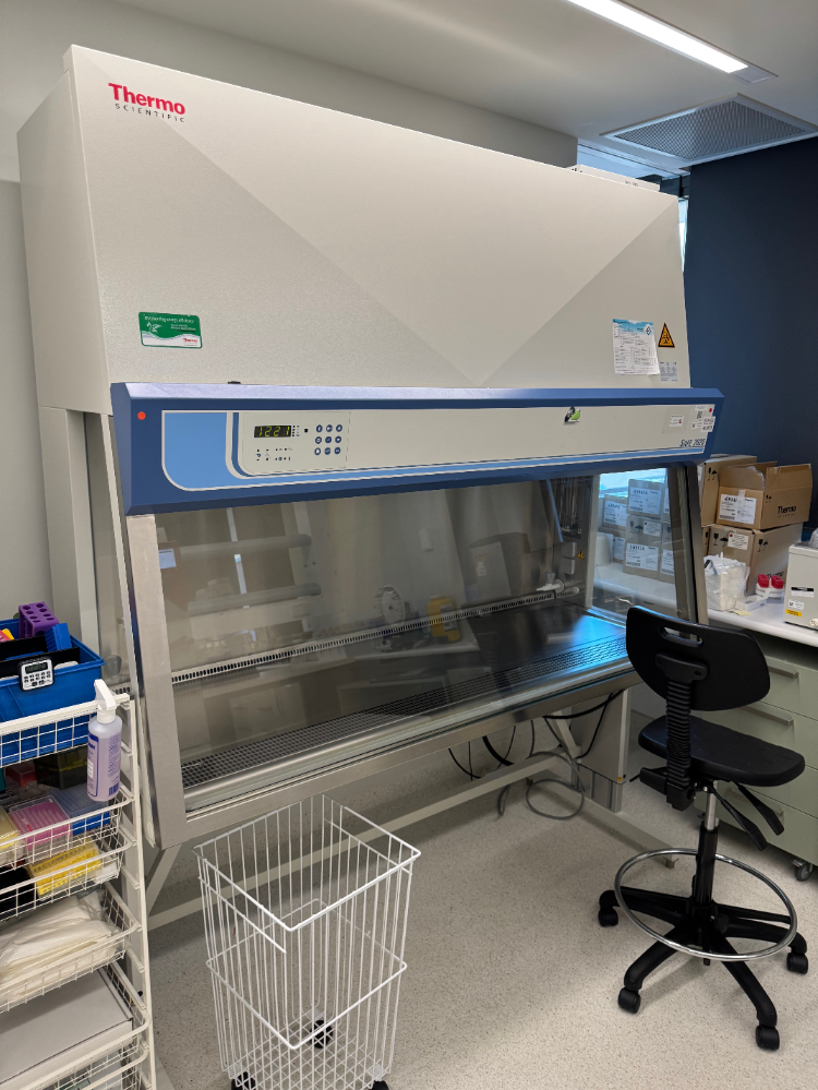 Image of Thermo Safe 2020 6' BioSafety Cabinet